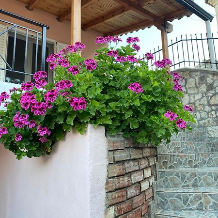 Villa Gkoros House Old Town à Himarë Extérieur photo